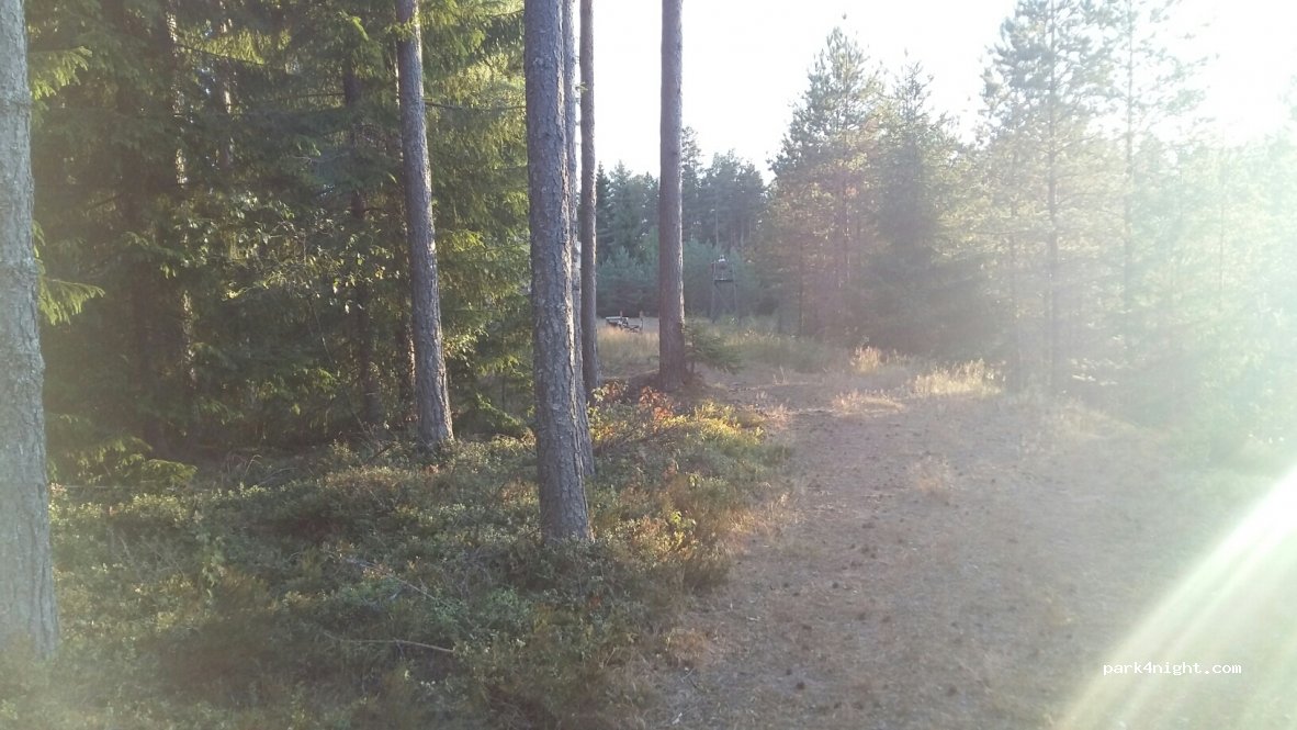 (330 27) Hestra - 26 — foto