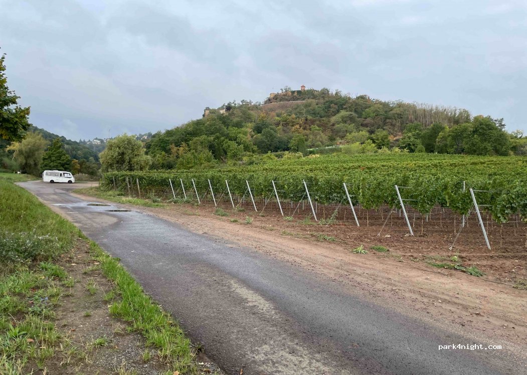(67273) Bobenheim am Berg - 30 L517 — foto 3