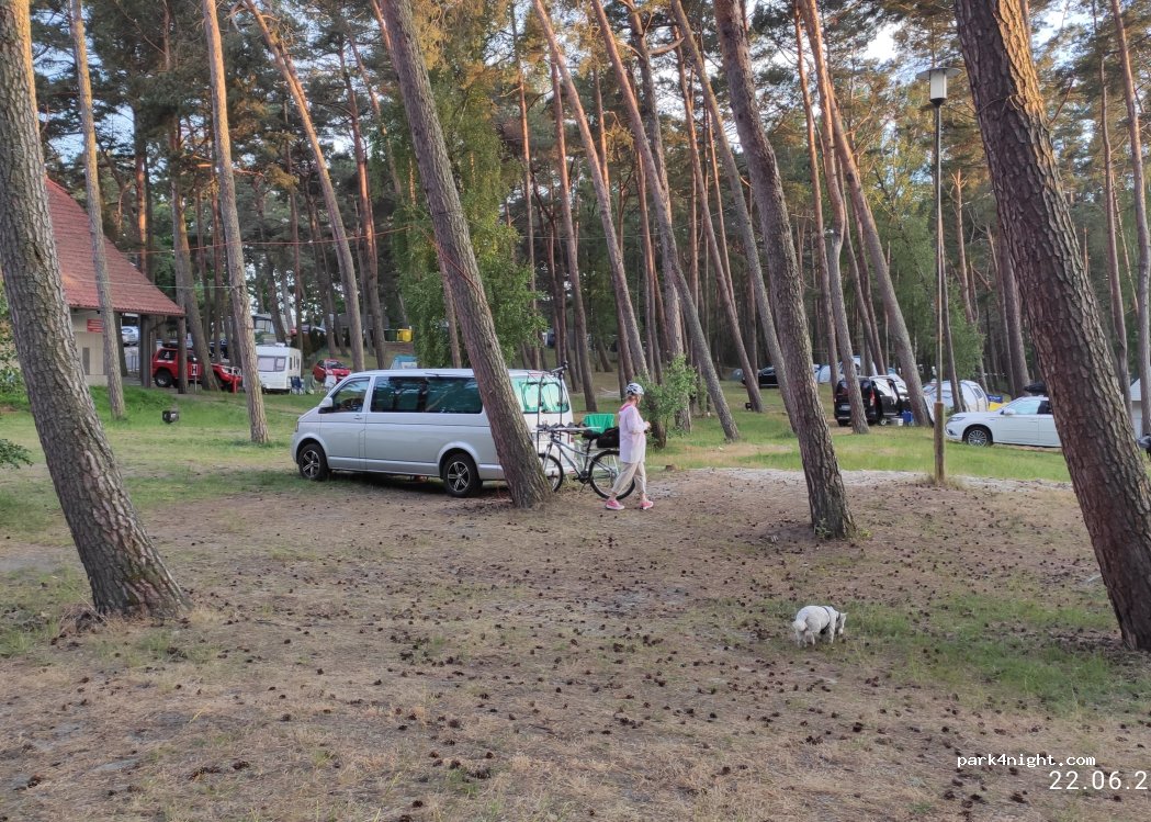 Camp 71 Gallus — foto 5