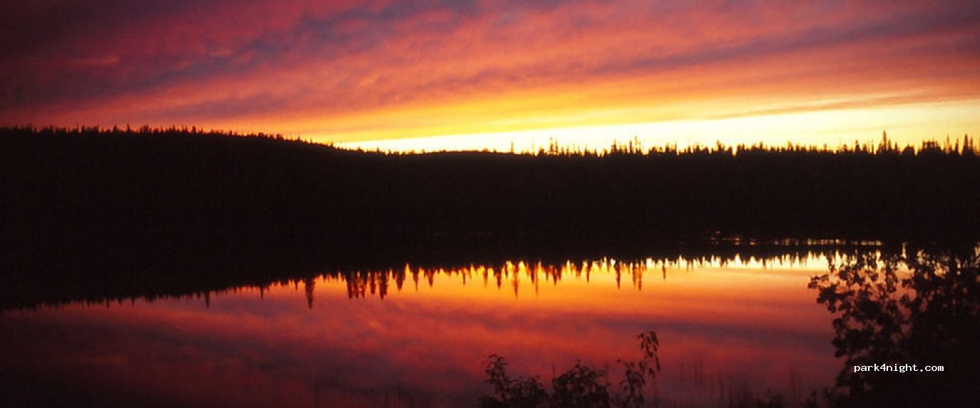 Piilijärvi Camping — foto 4