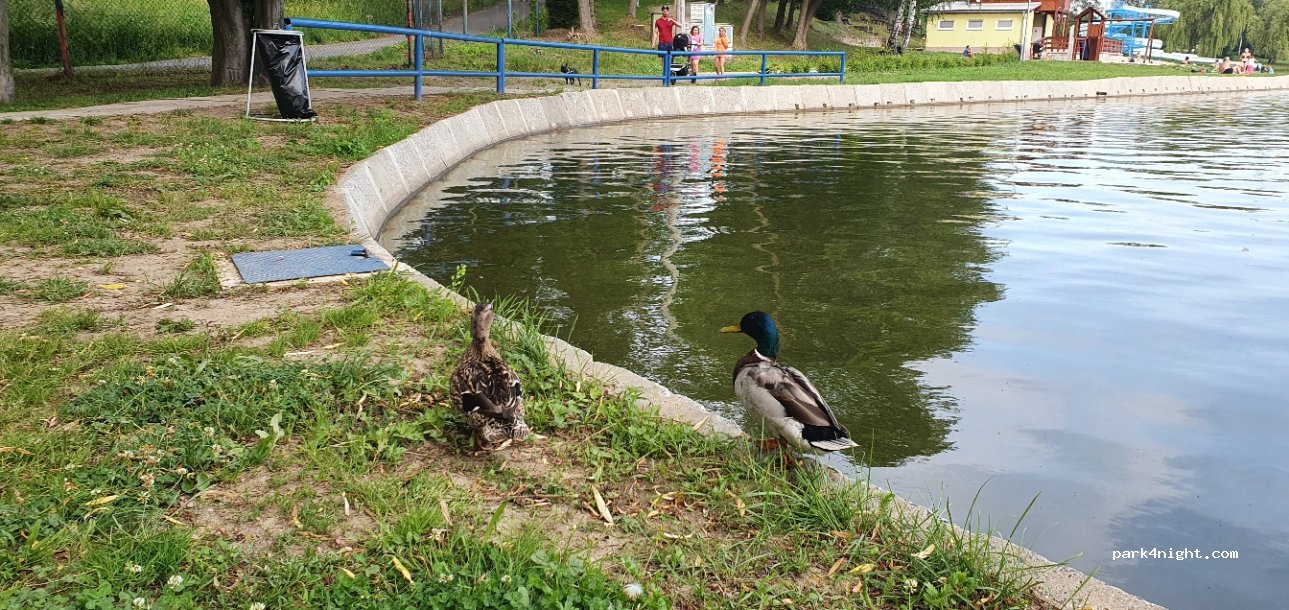 (471 23) Zákupy - Ke Koupališti — foto 3