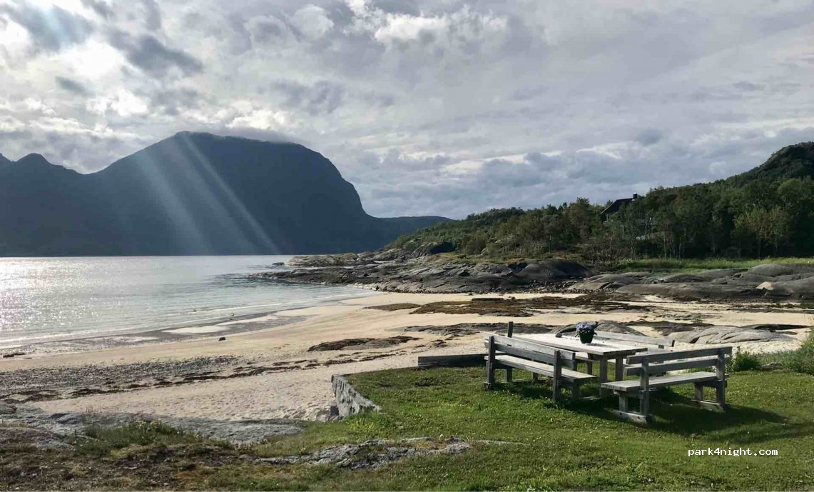 (8290)  - 209 Primær Fylkesveg 81 — foto