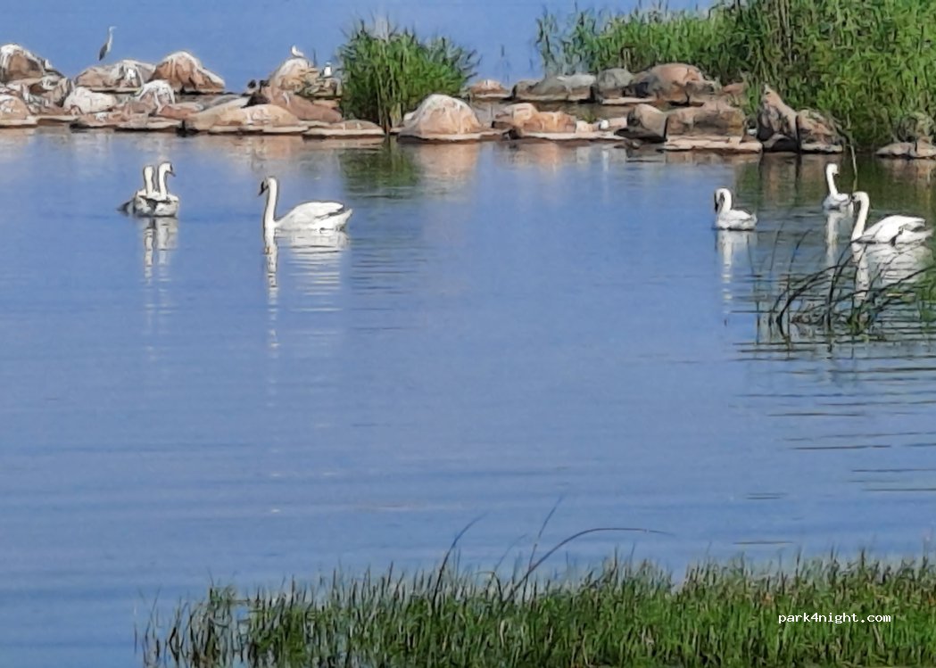 Camping Willipu — foto 5