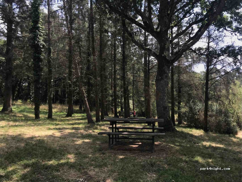 (56340) Carnac - D196 — foto 3
