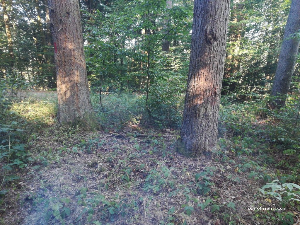 (88000) Dinozé - 1256 Rue de la Rondenolle — foto 2