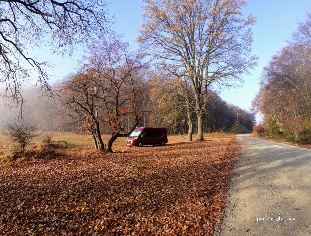 () Bârghiș - DC33 — foto