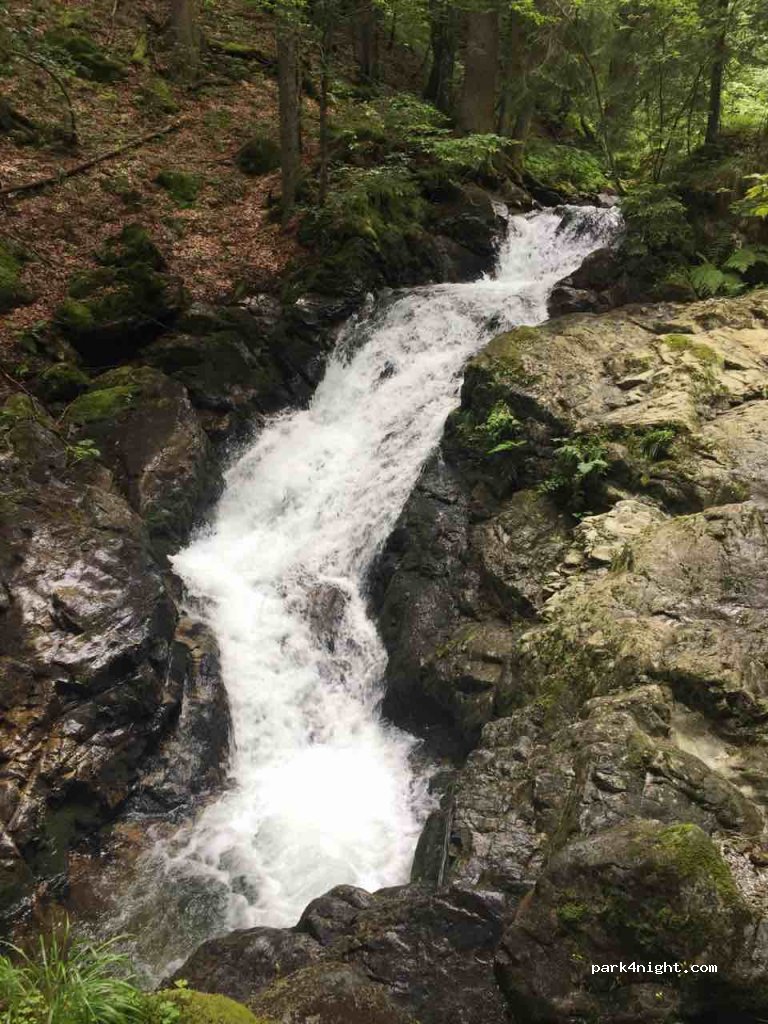 (336101) Câmpu lui Neag - Unnamed Road — foto 2