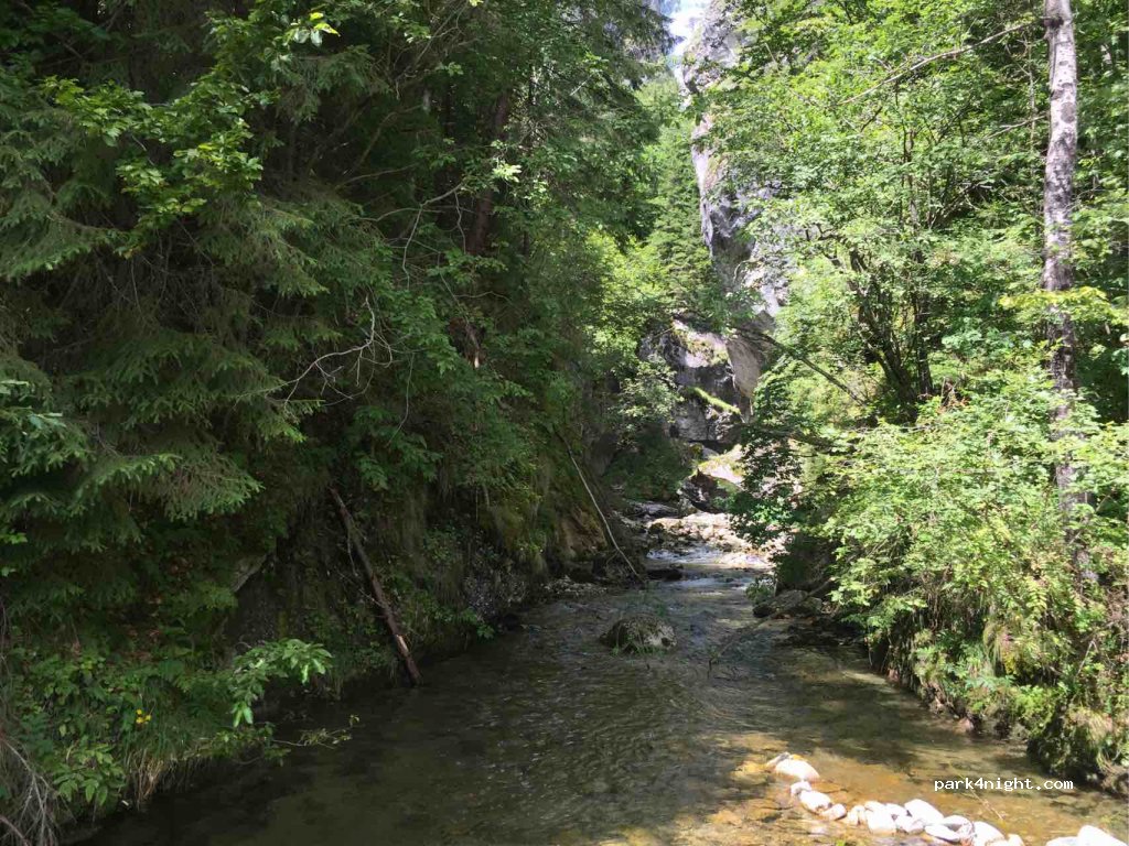 (336101) Câmpu lui Neag - Unnamed Road — foto 4