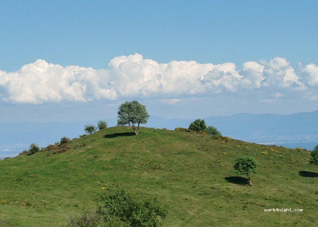 (68500) Rimbach-prés-Guebwiller - Chemin de la Glashutte — foto 5