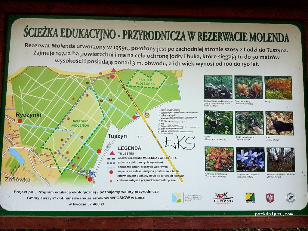 (95-030) Rzgów - ul. Katowicka 129 — foto 2