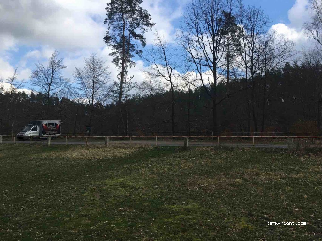 (17255) Priepert - MST12 — foto 3