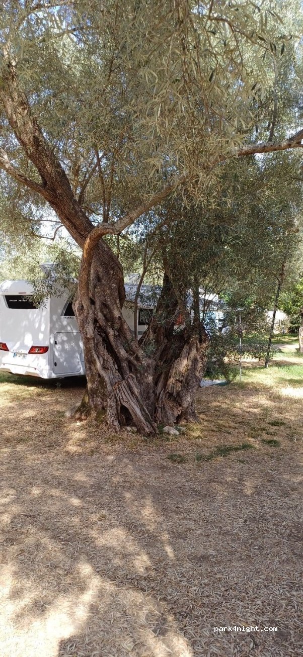 Camping Kariotes Beach — foto 5