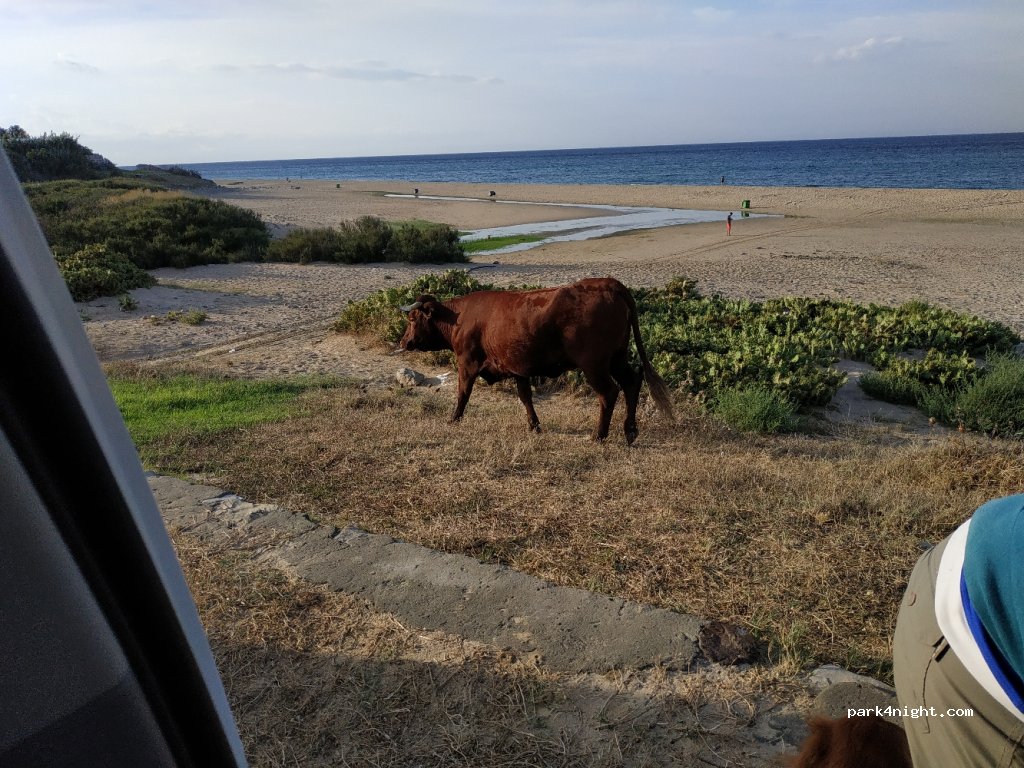 (11391) Tarifa - 23 El Lentiscal — foto 2