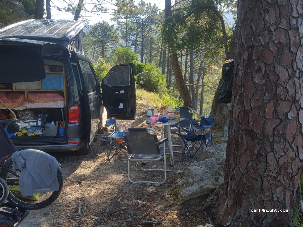 (20219) Vivario - D723 — foto 2