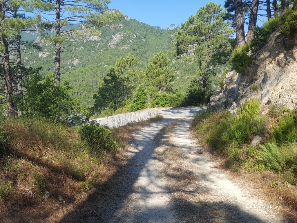(20219) Vivario - D723 — foto 3