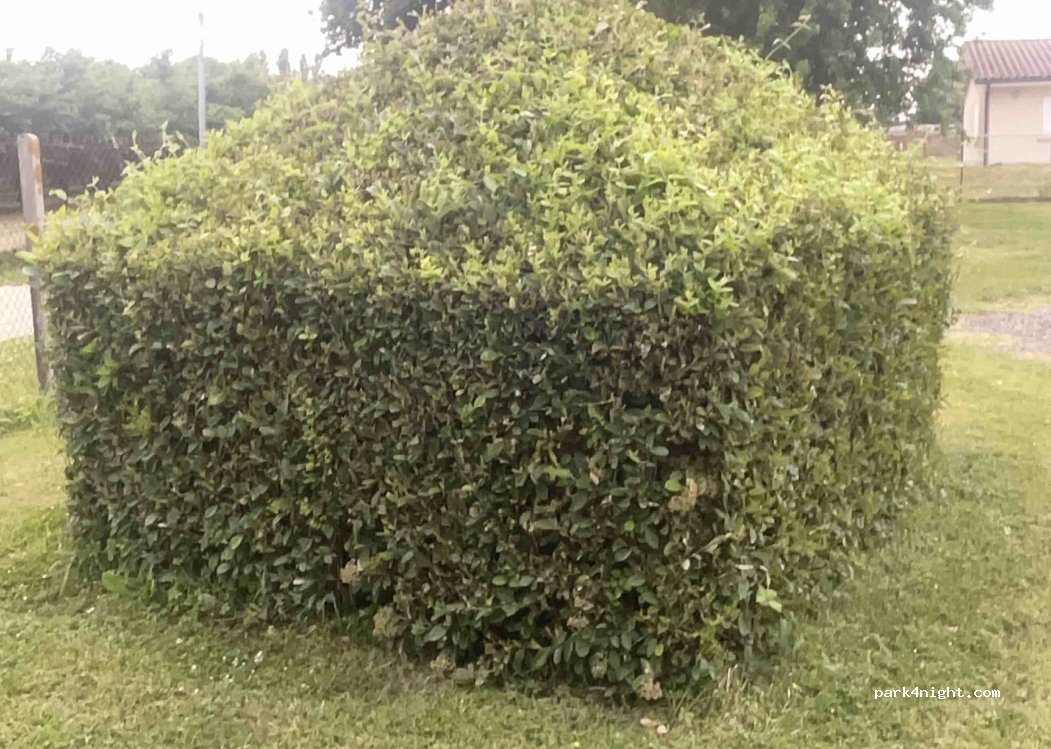 Camping Municipal  Bertranon — foto 5