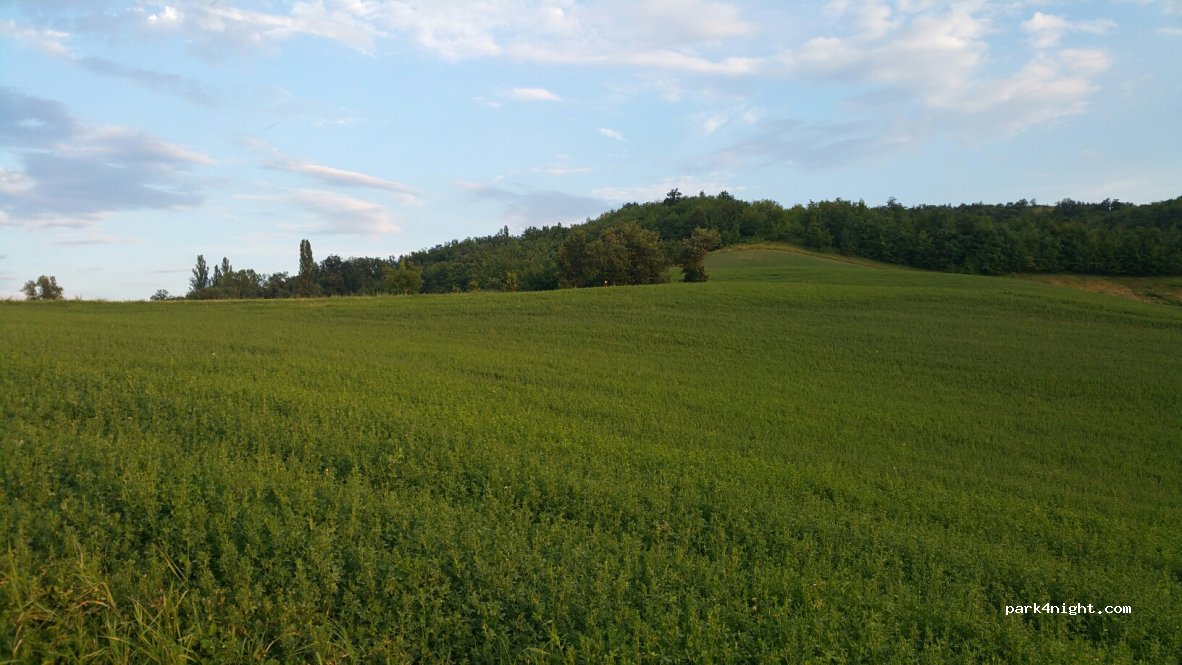 (41048) Prignano sulla Secchia - 1160 Via Antico — foto 2