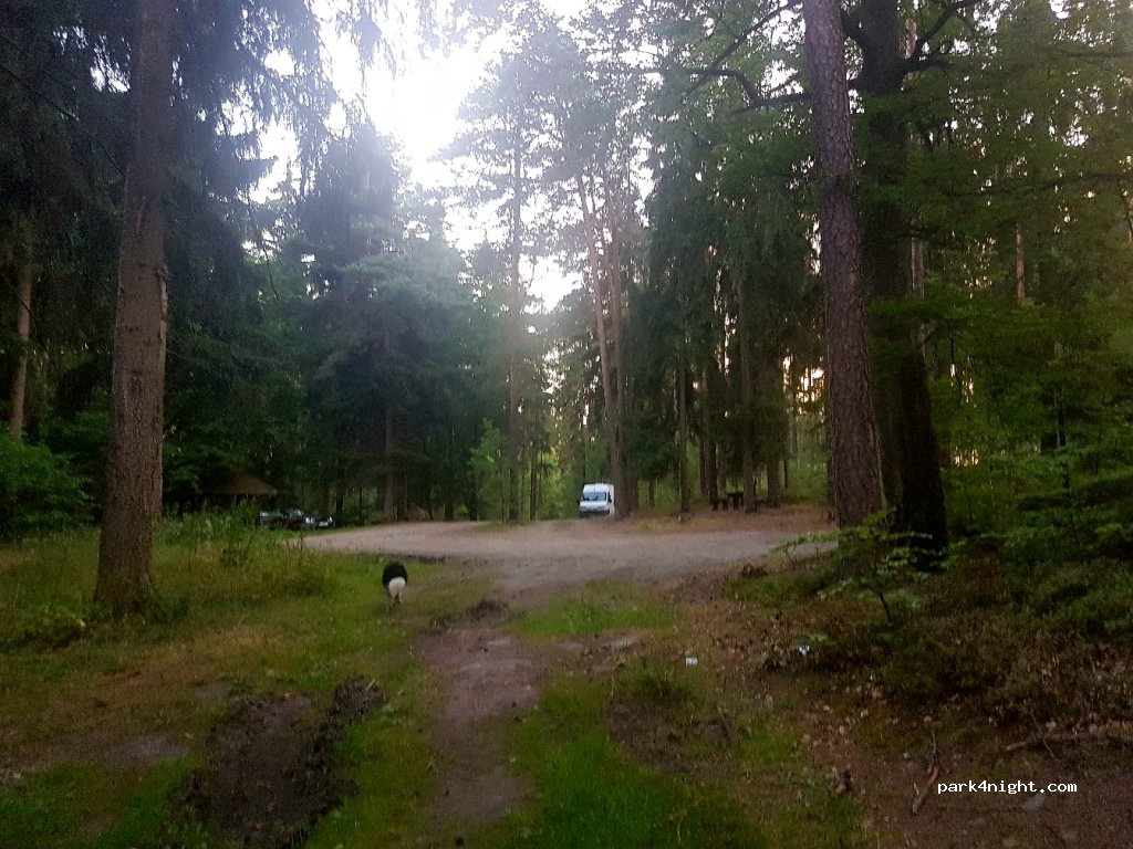 (57-320) Polanica-Zdrój - 31 Sikorskiego — foto 2
