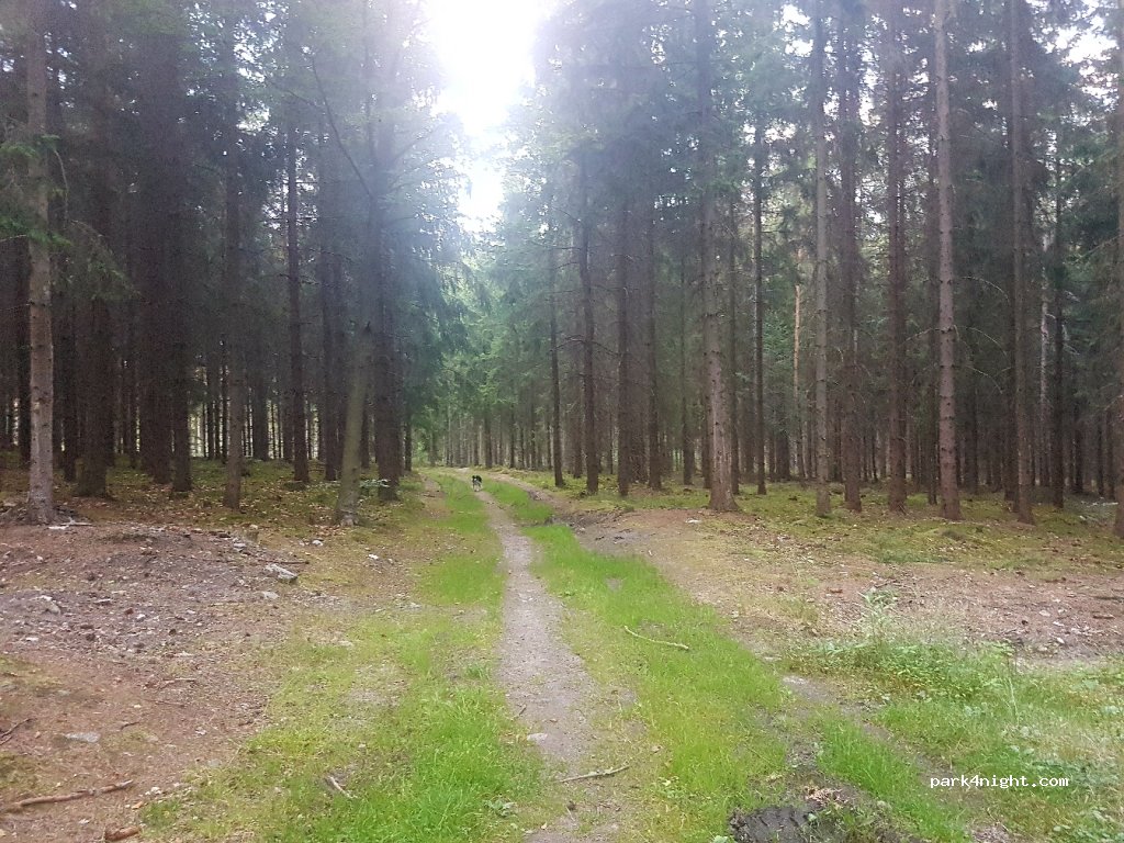(57-320) Polanica-Zdrój - 31 Sikorskiego — foto 3