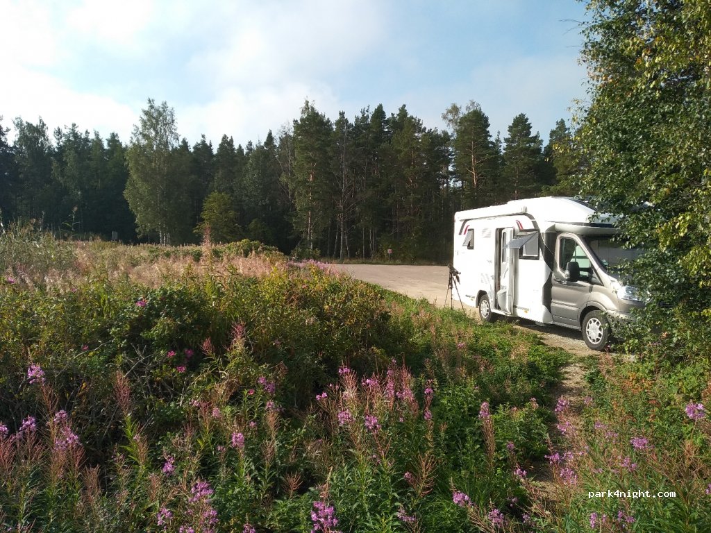 (45446) Vainupea - — foto 3