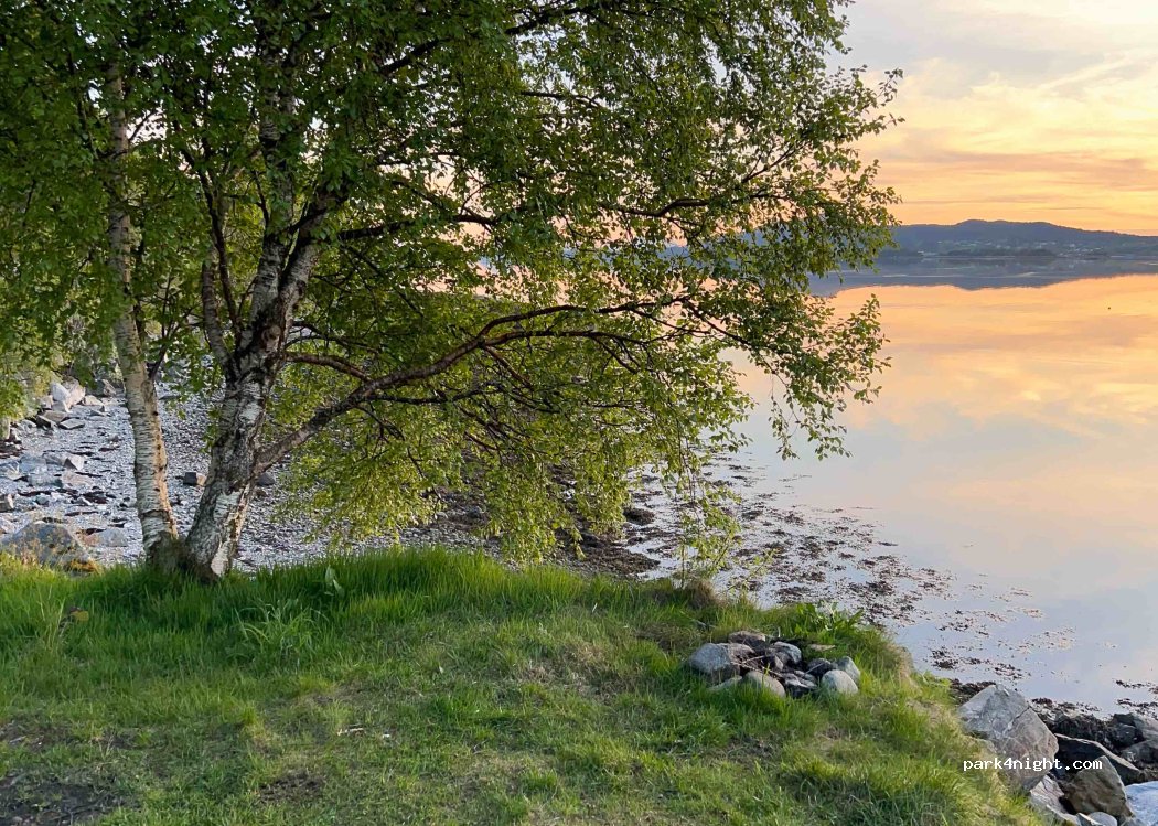 (6260)  - 17 Sekundær Fylkesveg 110 — foto 3