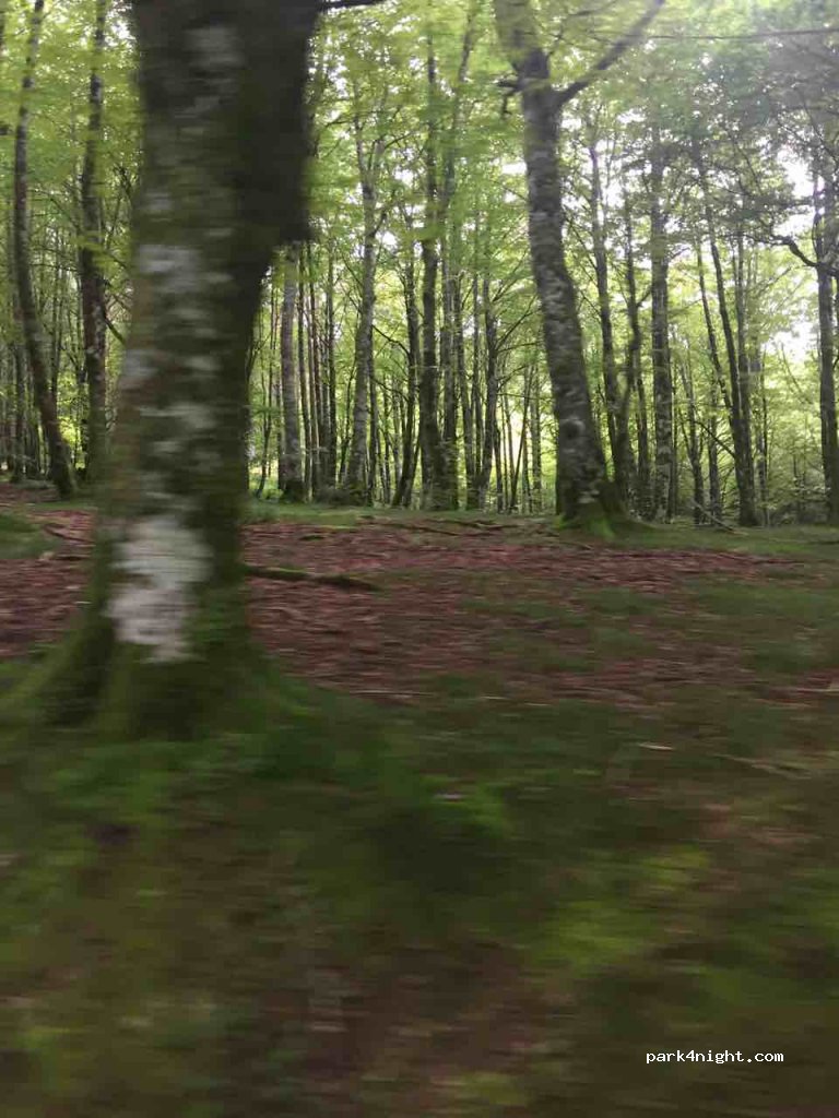 (31639) Baztan - Iruña-Frantzia (Aldude) / Pamplona-Francia (Alduides) — foto