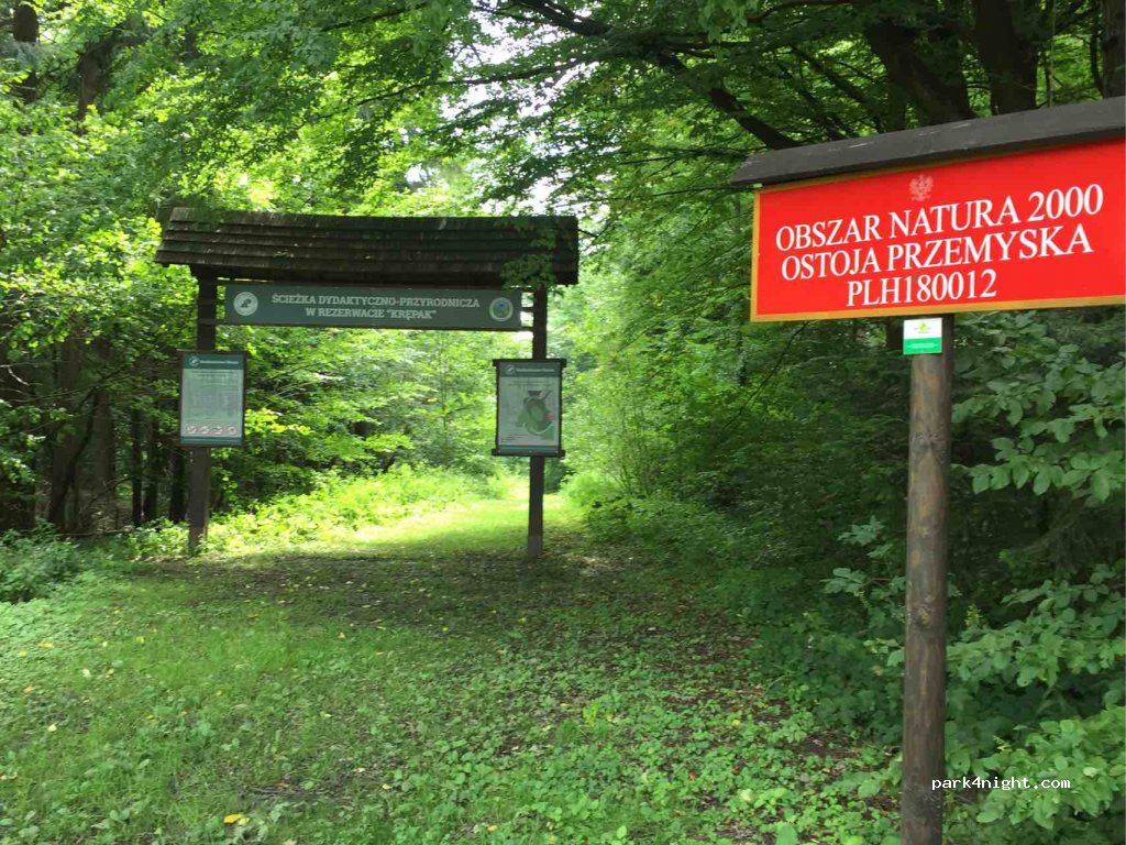 (37-740) Korzeniec - Droga Krajowa 28 — foto 2