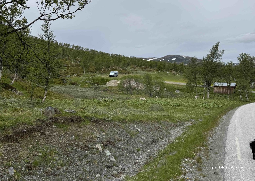 (7340) Oppdal - 12 Sekundær Fylkesveg 512 — foto 5