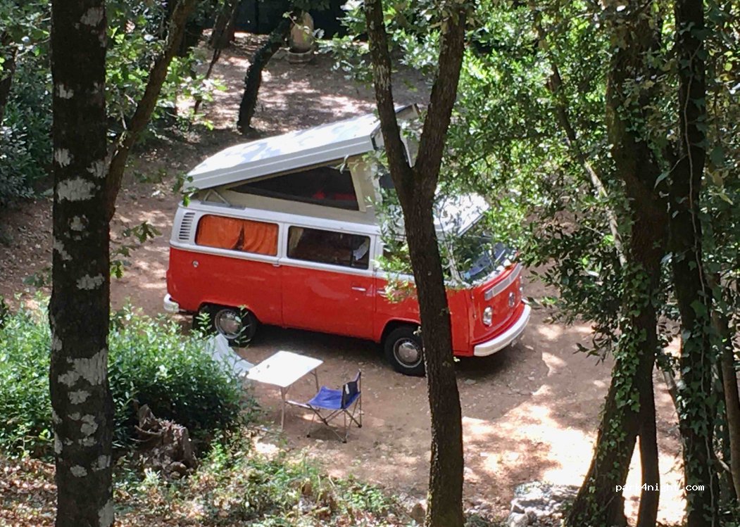 Camping Ibie — foto 3