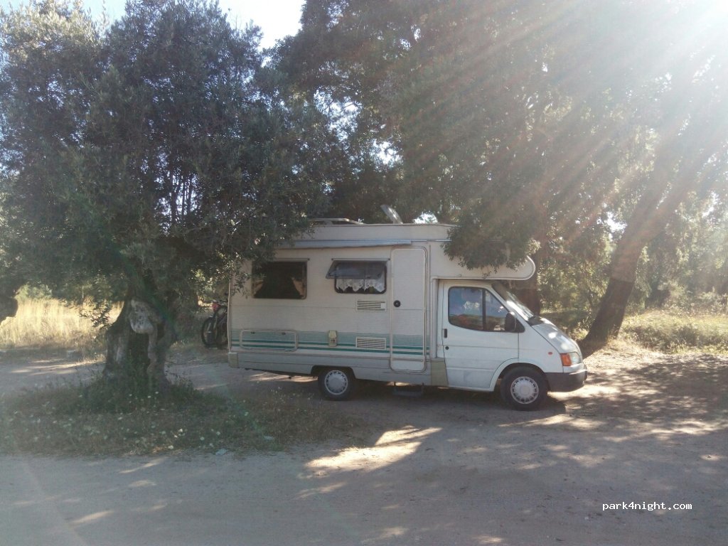 (2380) Malhou - CM1442 — foto
