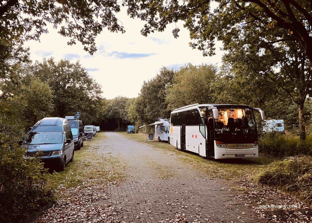 (49744) Geeste - Biener Strasse — foto 5