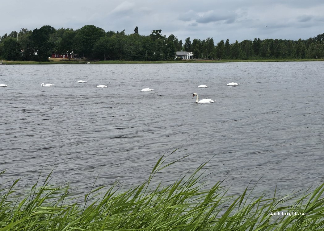 SKEPPEVIKS CAMPING — foto 5