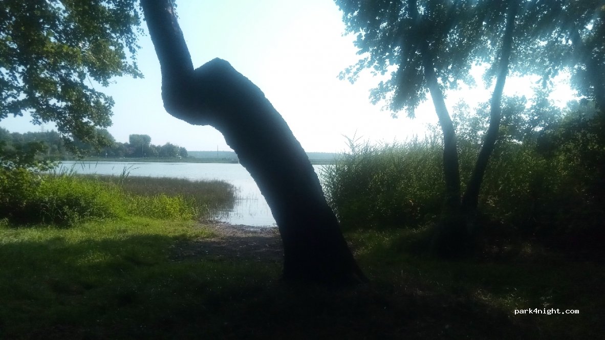(44-292) Rybnik - 1D Pniowska — foto