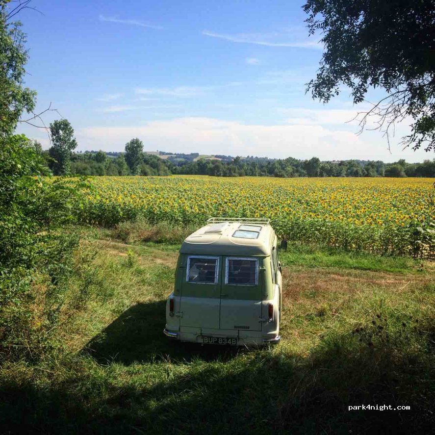 (31530) Sainte-Livrade - N542 — foto 2
