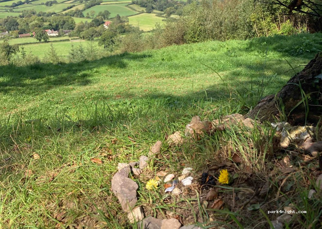 (EX10 0LR) Sidmouth - Unnamed Road — foto