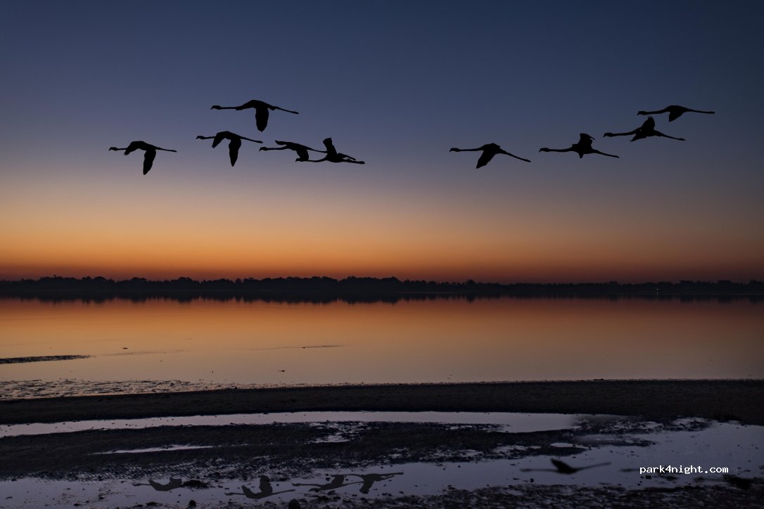 Private Farm in Ria de Aveiro Lagoon — foto 4