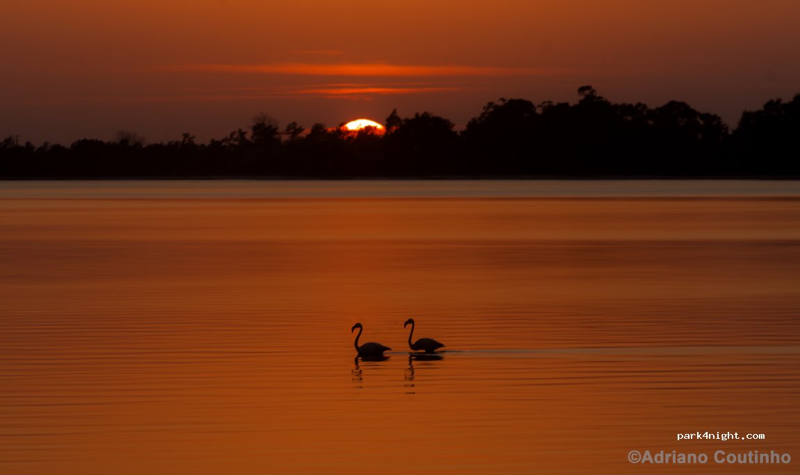Private Farm in Ria de Aveiro Lagoon — foto 5