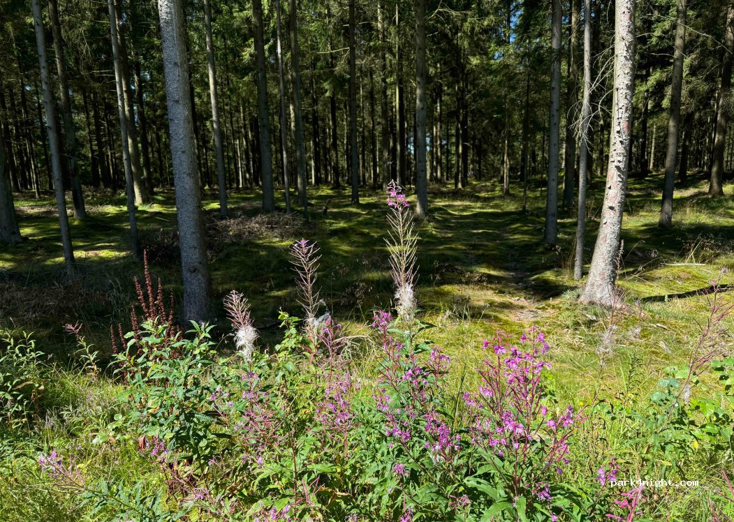 (7190) Billund - 4C Granvej — foto 4
