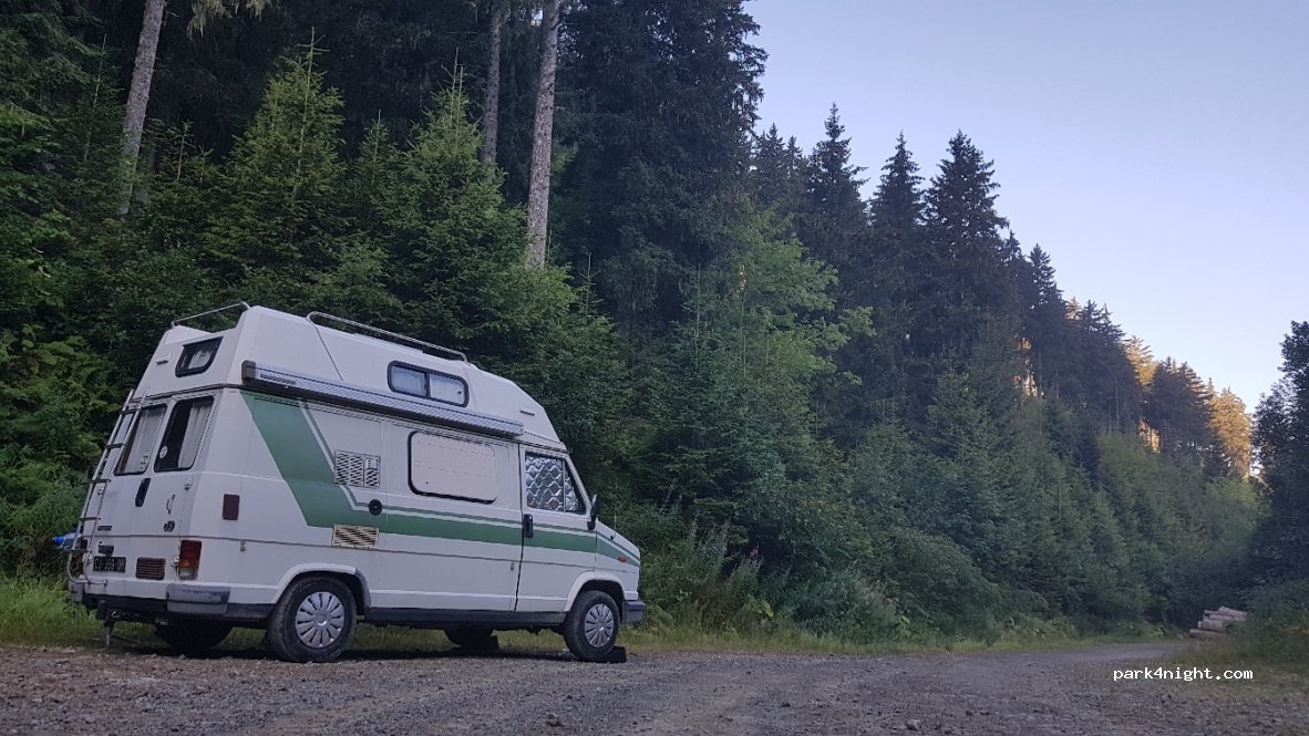(38190) Laval - Route Forestière Bedina — foto