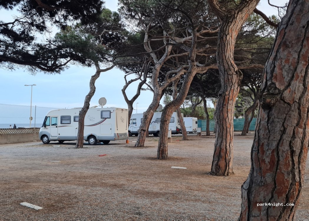 Càmping S'Abanell — foto 2