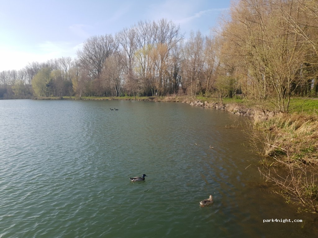 (62120) Rebecques - D189 — foto 2
