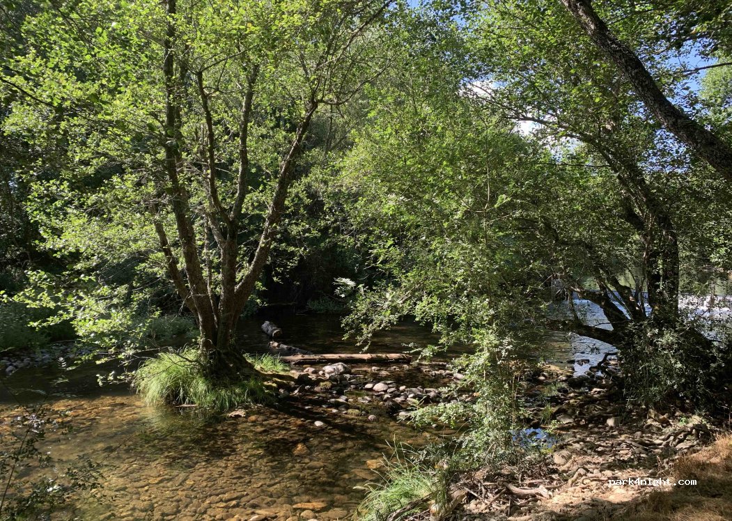 Área de Playa Fluvial Corneira — foto 5