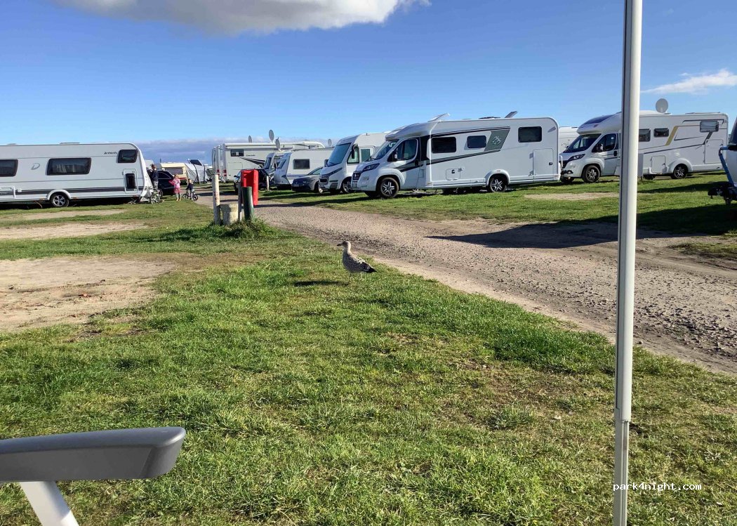 Dunes Camping Sylt — foto