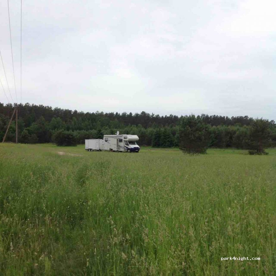 (42208) Rannapungerja - — foto 2