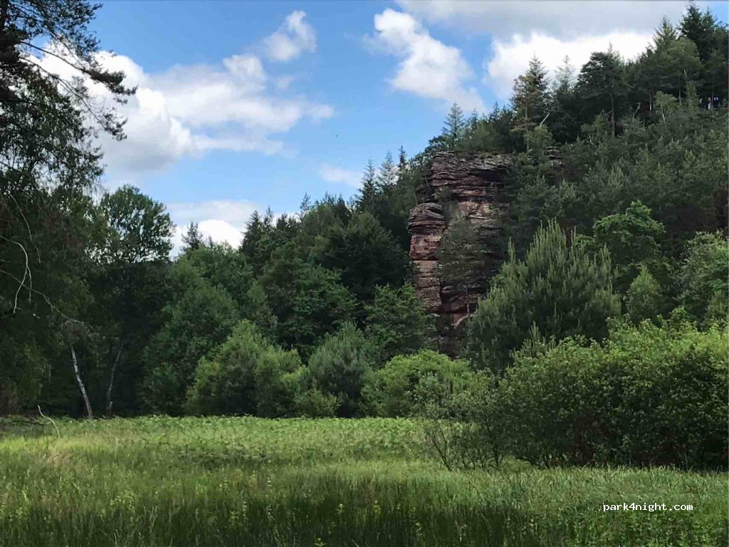 (66994) Dahn - Unnamed Road — foto 2