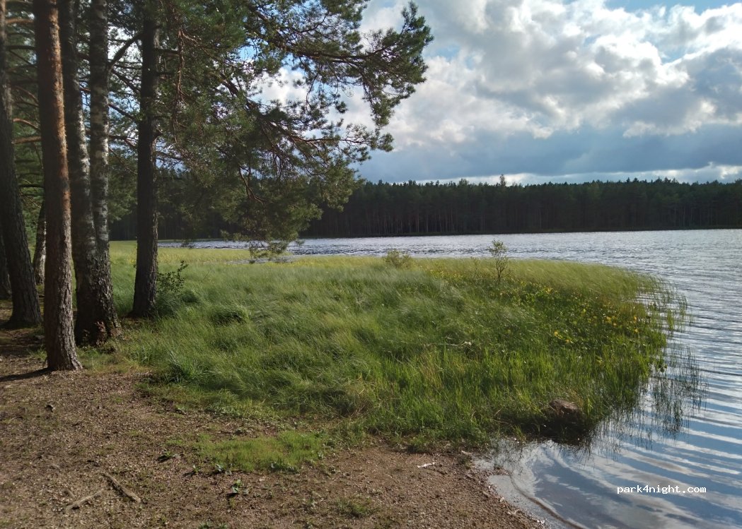 (4146) Cesu novads - Unnamed Road — foto 4