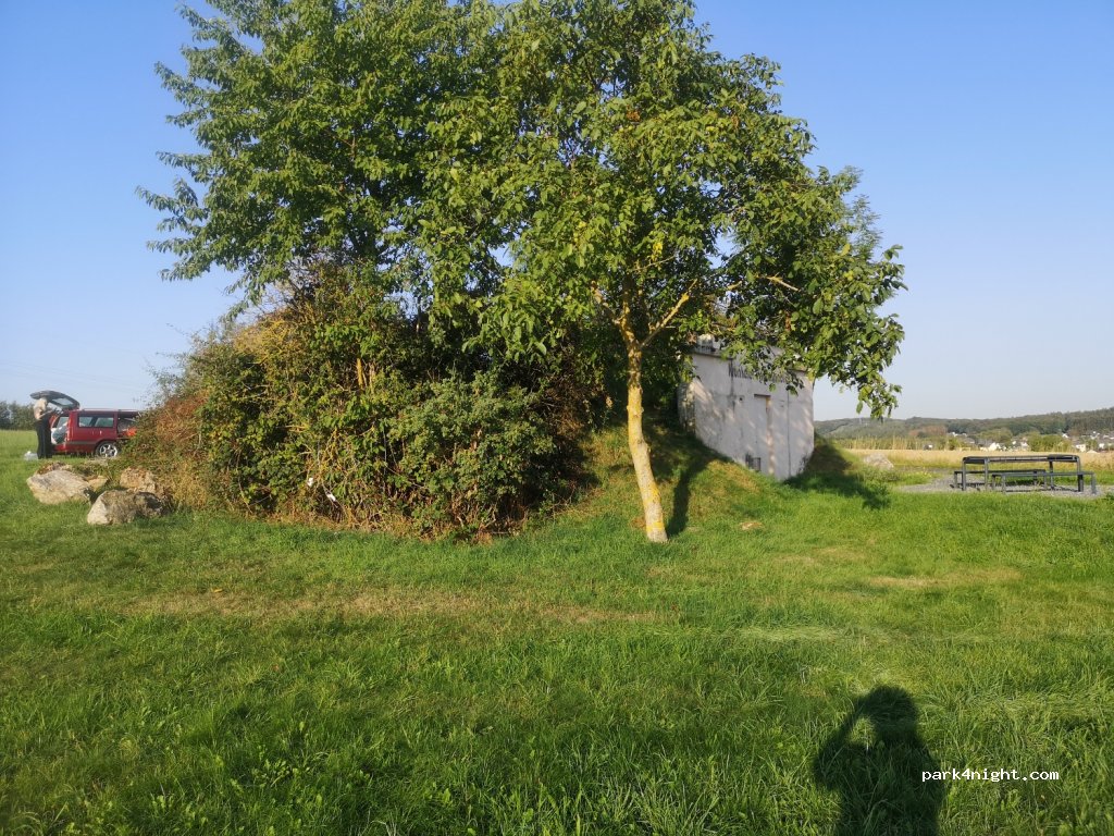 (56593) Krunkel - L270 — foto 3
