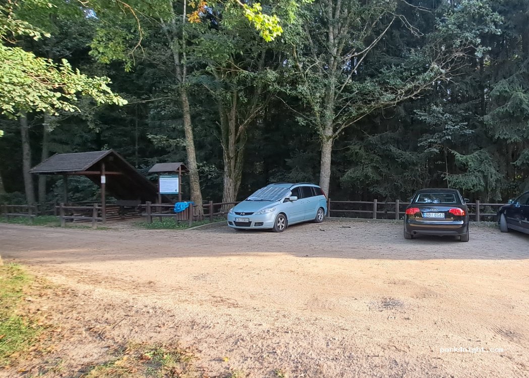 (17-230) Białowieża - 240 Generała Aleksandra Waszkiewicza — foto 4