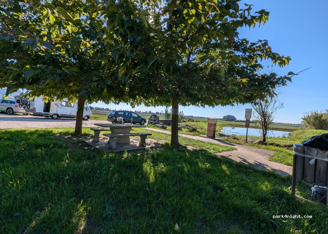(55054) Massarosa - 3906 Via Pietra a Padule — foto 4