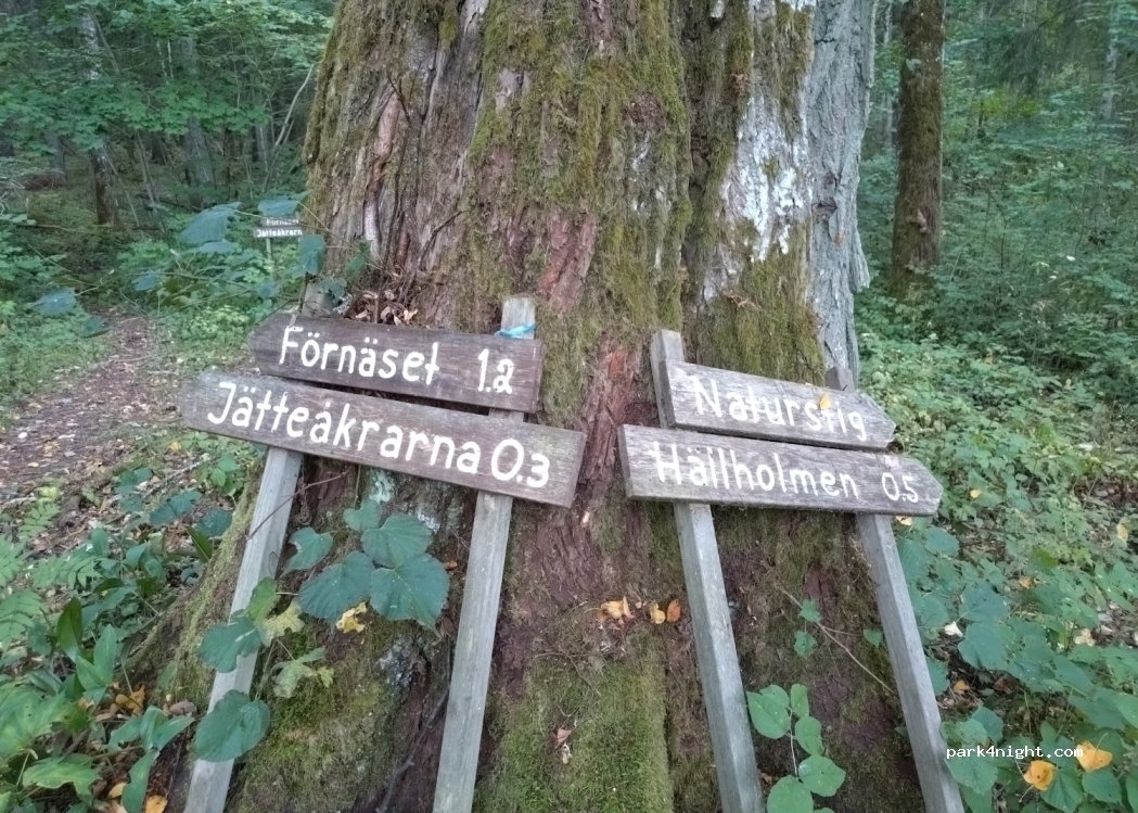 (815 95)  - Unnamed Road — foto 3